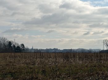 Randonnée Marche Wortegem-Petegem - Wortegem 12,7 km - Photo