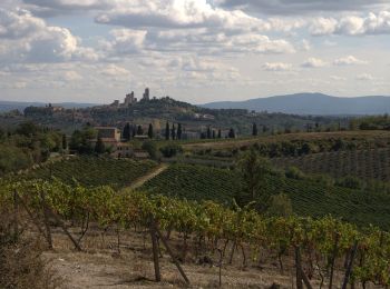 Trail On foot San Gimignano - Dolce campagna, antiche mura 18 - Photo