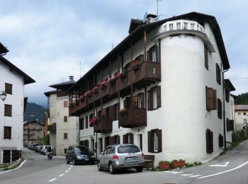 Randonnée A pied Forni di Sopra - Anello di Forni - Photo