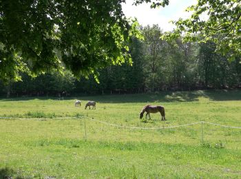 Randonnée Marche Freneuse-sur-Risle - les coudraies - Photo