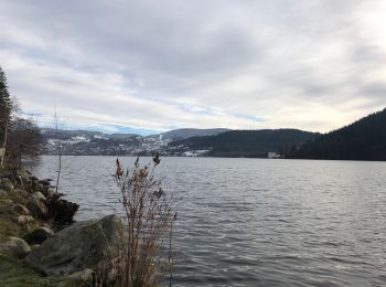 Trail Walking Gérardmer - Ventron lac Gerardmer - Photo