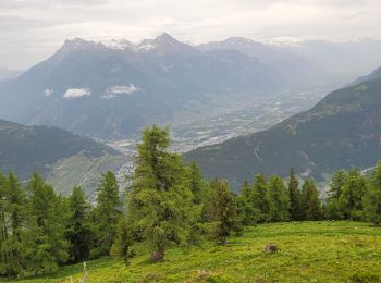 Randonnée Marche Orsières - tmb2024 étape 7  - Photo