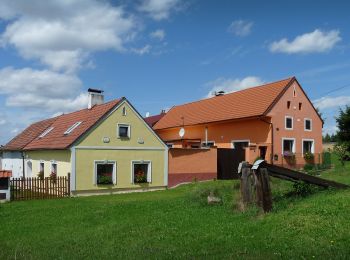 Percorso A piedi Nová Ves - Vidov - Hůrka - Photo