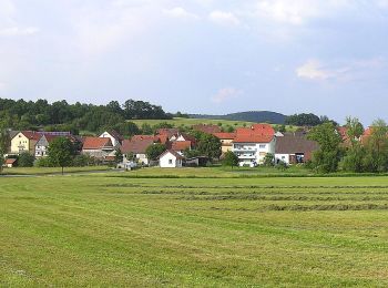 Tour Zu Fuß Bad Bocklet - Bad Bocklet Rundweg BB4 - Photo