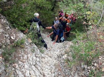 Excursión Senderismo La Roque-d'Anthéron - PF-La Roque d'Anthéron - Parcours évaluation BF FFrandonnée - Photo