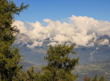 Randonnée A pied Chalais - La Lé-refuge du Bisse - Photo