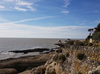 Trail Walking Saint-Palais-sur-Mer - ST PALLAIS  LA GRANDE COTE - Photo