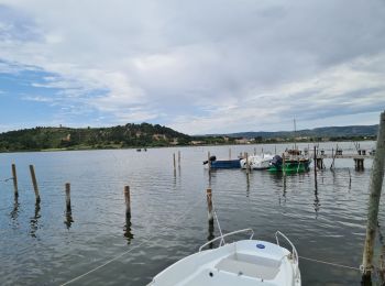 Tocht Mountainbike Port-la-Nouvelle - Boucle de Bages d Aude  - Photo