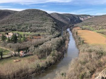 Trail Electric bike Saint-Antonin-Noble-Val - Route de la corniche (Brousse) - Photo