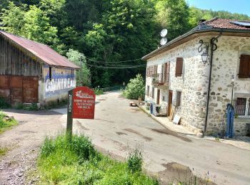 Excursión Senderismo Reyvroz - rochers de la garde, chalets de Perthuis au départ du pont de Bioge - Photo