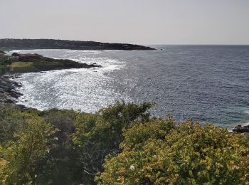 Randonnée Marche Lumio - Sant Ambrogio Algagiola - Photo