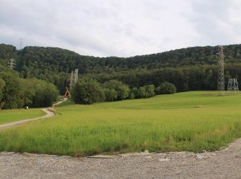 Excursión A pie Dettingen an der Erms - blaues Dreieck Dettingen - Glems - Photo