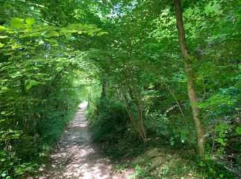 Excursión Senderismo Amfreville-sur-Iton - Les sentiers de laiton - Photo