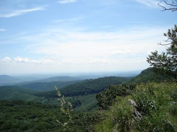 Randonnée A pied Miskolc - K+ (Bánkút - Őr-kő-rét) - Photo