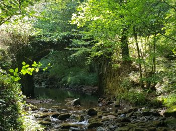 Trail Walking Espagnac - 20190813 promenade transcorerrezien via Espagnac - Photo