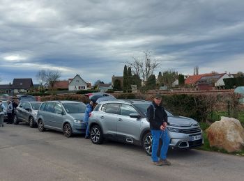 Randonnée Marche Roncherolles-sur-le-Vivier - 20230328 Roncherolles sur le Vivier - Photo