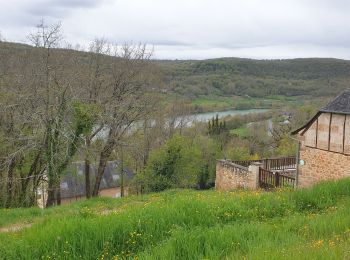 Trail Mountain bike Lissac-sur-Couze - lac du causse, Corrèze, circuit no 11 - Photo