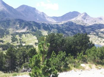 Excursión Senderismo Formiguères - Camporells par la Lladure 2020 - Photo