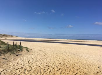 Randonnée Marche Moliets-et-Maâ - Courants d’Huche - Photo