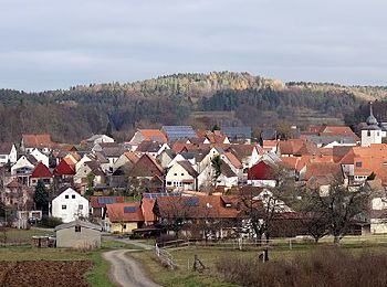 Excursión A pie Egloffstein - Durch Obstgärten zum Marterhaus - Photo