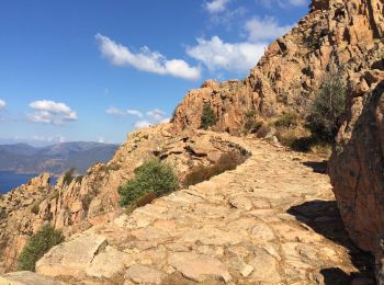 Trail Walking Piana - Calanques piana les roches bleues  - Photo