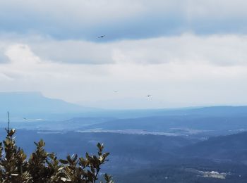 Tocht Stappen Barjols - barjols, sur le toit du monde - Photo