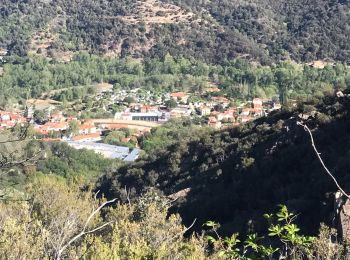 Randonnée Marche Arles-sur-Tech - Col de Paracols depuis Arles sur Tech - Photo