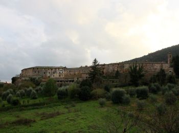 Excursión A pie Sovicille - Borghi Fiume Merse - Photo