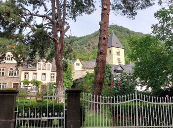 Randonnée Marche Moselkern - ringelsteiner muhle vers village Moselkern  - Photo