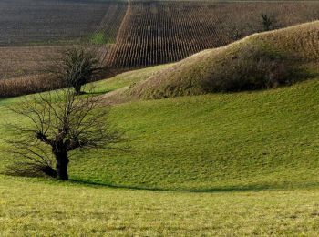 Randonnée Marche Hostun - les monts du matin - Photo