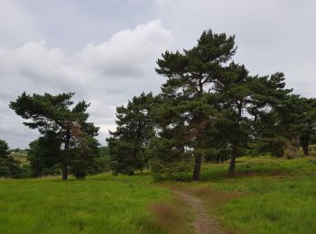 Excursión Senderismo Chaudfontaine - Chaudfontaine - Ninane - Bois-les-Dames  - Photo