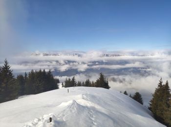 Tocht Sneeuwschoenen Crêts-en-Belledonne - 31 janvier 2020 le grand rocher - Photo