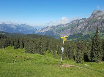 Tour Zu Fuß Muotathal - Urwaldspur - Photo