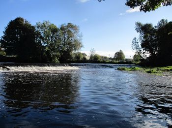 Randonnée A pied The Municipal District of Kilkenny City - Nore Valley Walk - Photo