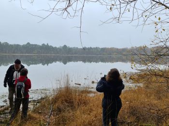 Tour Wandern Nouan-le-Fuzelier - Etang des Lévrys - Photo