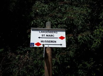 Tour Wandern Vöklingshofen - abbaye Marbach boucle par col Hasstatt - Photo