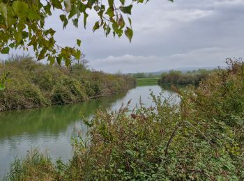 Randonnée Marche Montélimar - Gournier Châteauneuf-du-Rhône 10km. - Photo