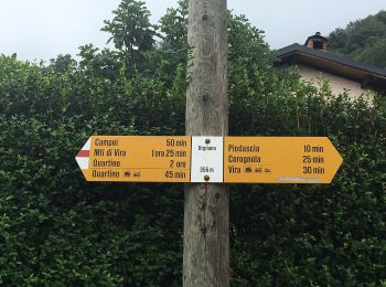 Trail On foot Gambarogno - Bruno - Quartino - Photo