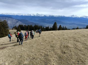 Tour Wandern Engins - engins fournel tour du sornin - Photo