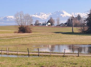 Trail Walking Apremont - APREMONT CHACUZAR - Photo