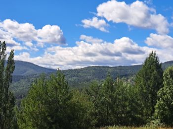 Randonnée Marche Ponteils-et-Brésis - Nord haute Vallee de la Cèze - Photo