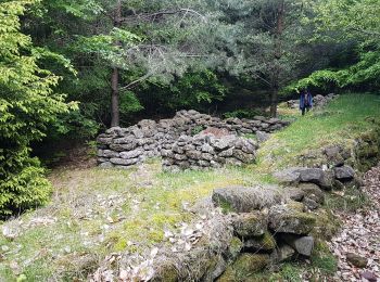 Tour Wandern Hagen - Wasserwald - Photo