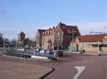 Percorso A piedi Deventer - WNW Salland - Deventer/De Worp - oranje route - Photo