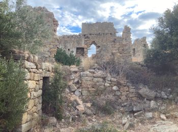 Tocht Stappen Lumio - Lumio-Occi - Photo