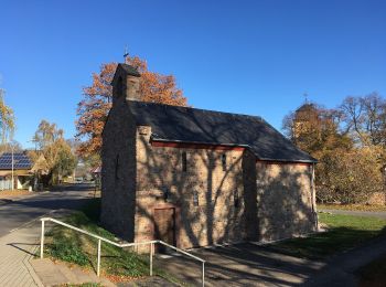 Tour Zu Fuß Mechernich - EifelSchleife Stockertblick und Herkelstein - Photo