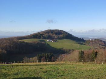 Tour Zu Fuß Poppenhausen - Maulkuppe - Rhönrundweg 15 - Photo