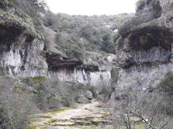 Trail Walking Gordes - 84 Gorges de la Veroncle - Photo