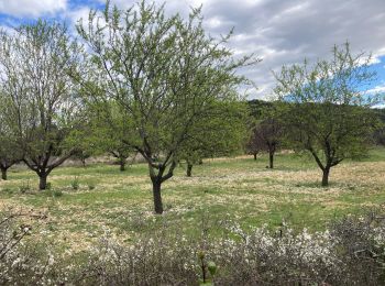 Excursión Senderismo Montarnaud - Autour de Montarnaud  - Photo