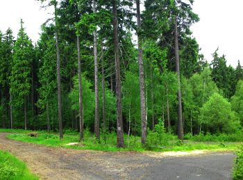 Excursión A pie Krobica - Krobica - Sępia Góra - Photo