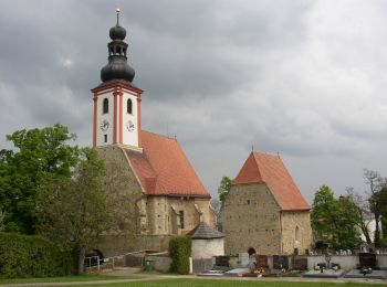 Percorso A piedi Gemeinde Würflach - Würflach - Lärbaumkreuz - Johannesbachklamm Rundwanderweg - Photo